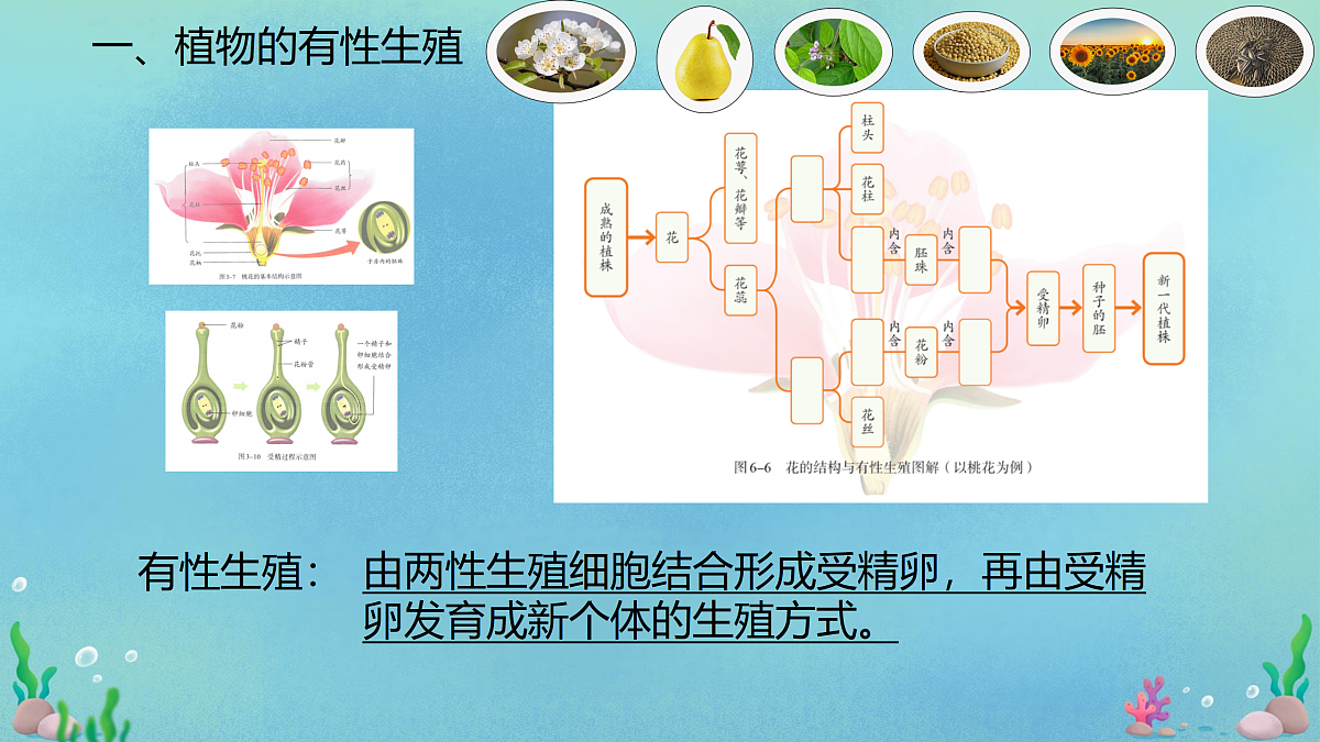 18030065第3页
