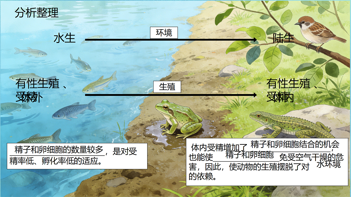 18030065第6页