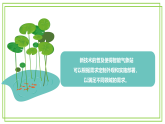 八年级下册信息技术第二单元第1节《物联网创新应用初体验》川教版2024 课件