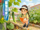 苏教版小学科学三年级下册 08植物结果了 课件