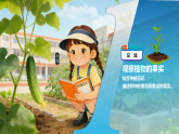 苏教版小学科学三年级下册 08植物结果了 课件