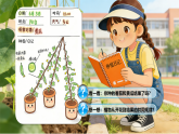 苏教版小学科学三年级下册 08植物结果了 课件