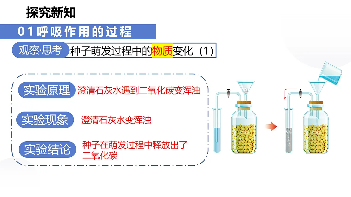 18031846第7页