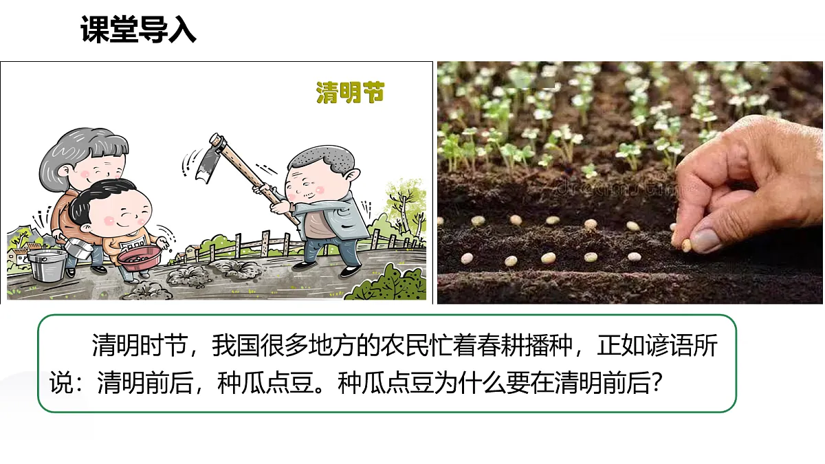 18031847第4页