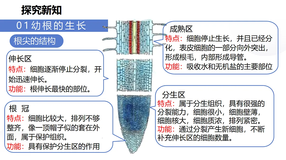 18031848第8页