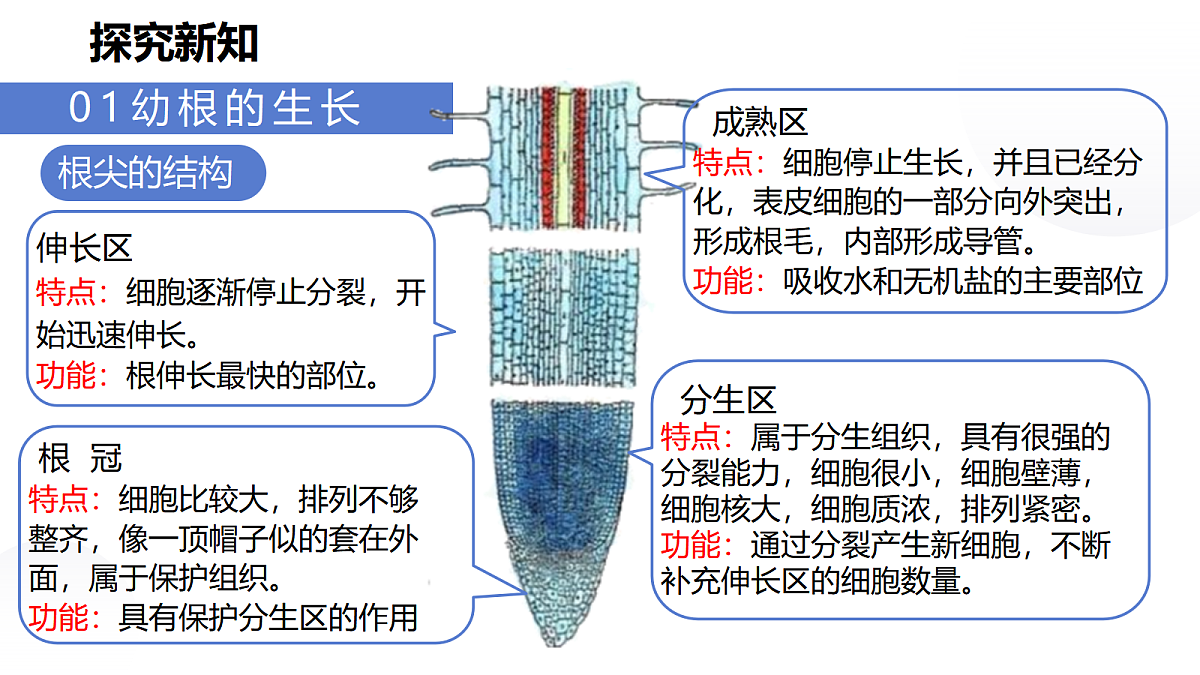 18031848第8页