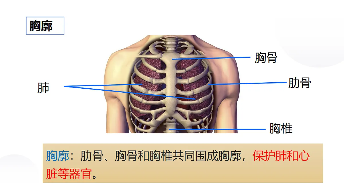 18031859第6页