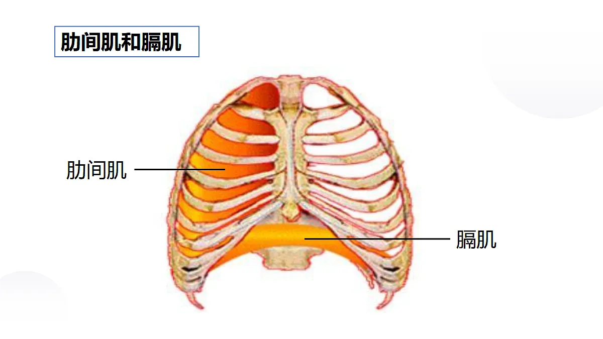 18031859第7页