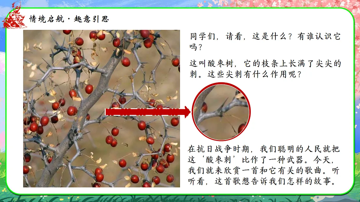 酸枣刺第2页