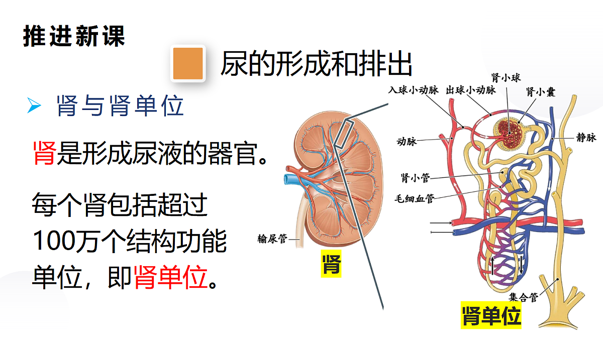18032651第3页