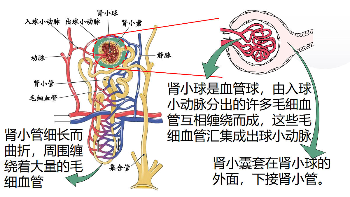 18032651第5页