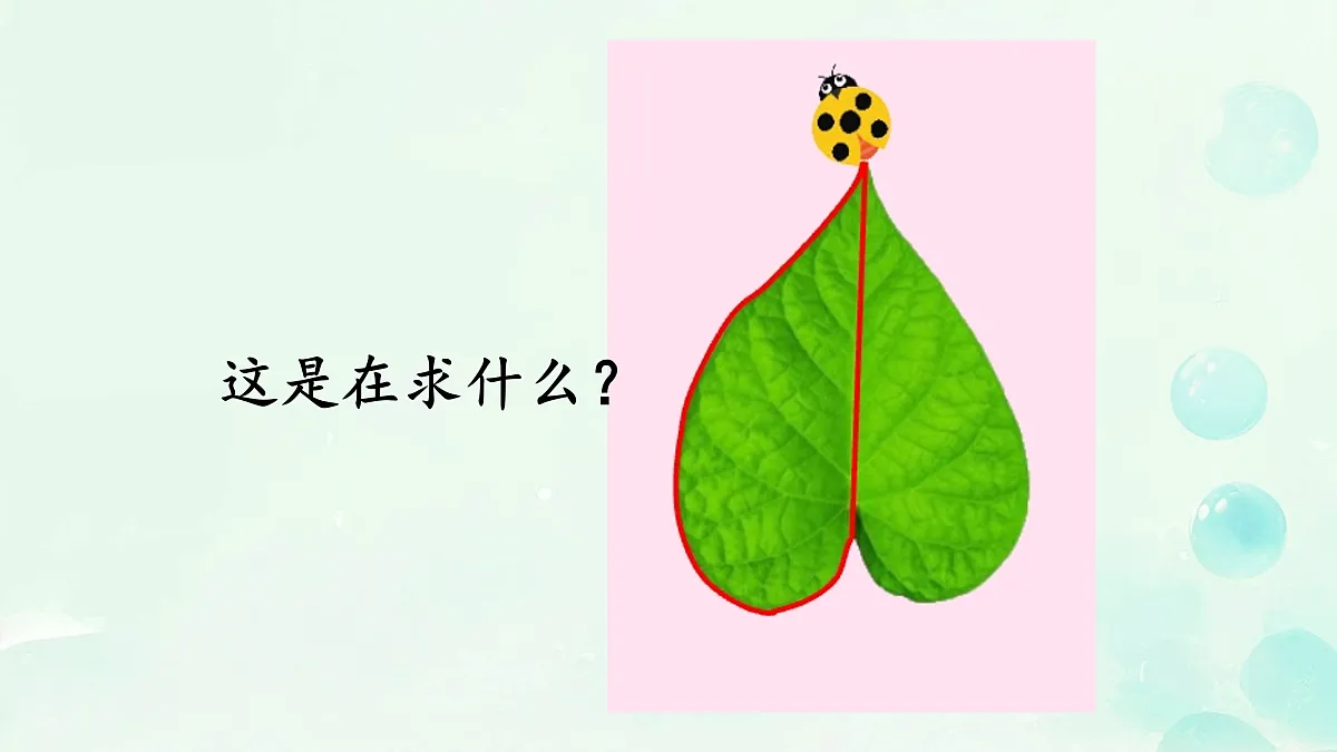 18033207第2页