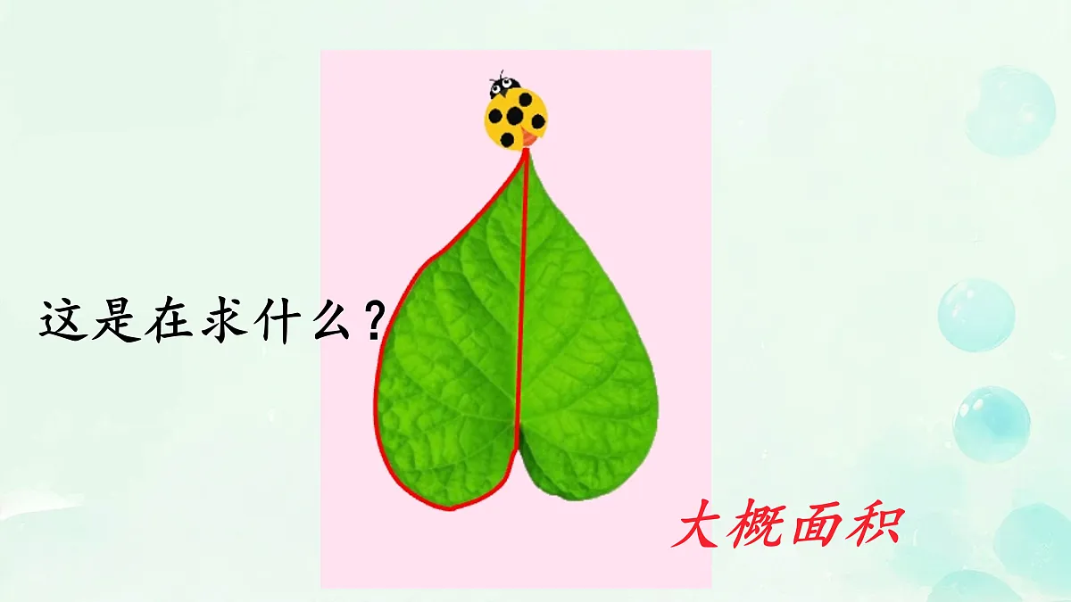 18033207第3页