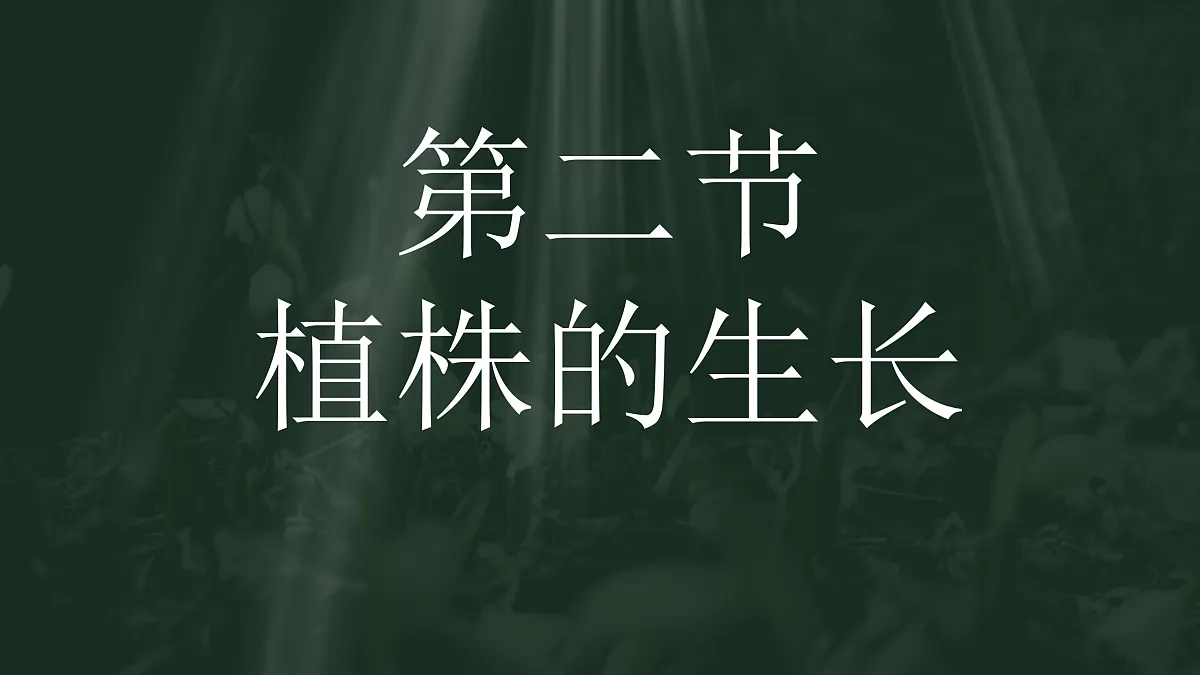 18033217第1页