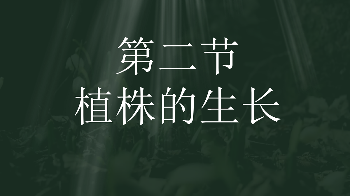 18033217第1页