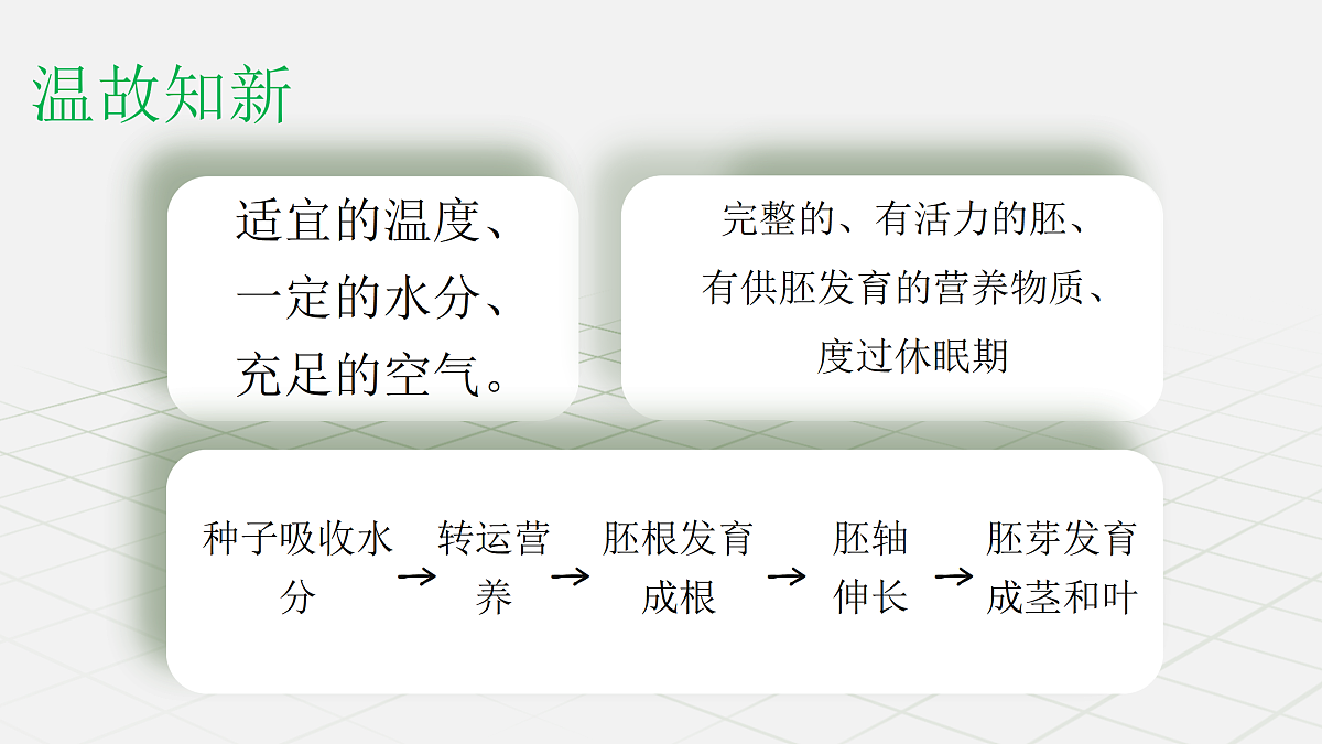 18033217第3页