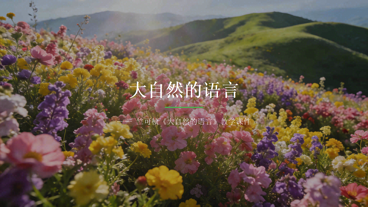 18033229第1页