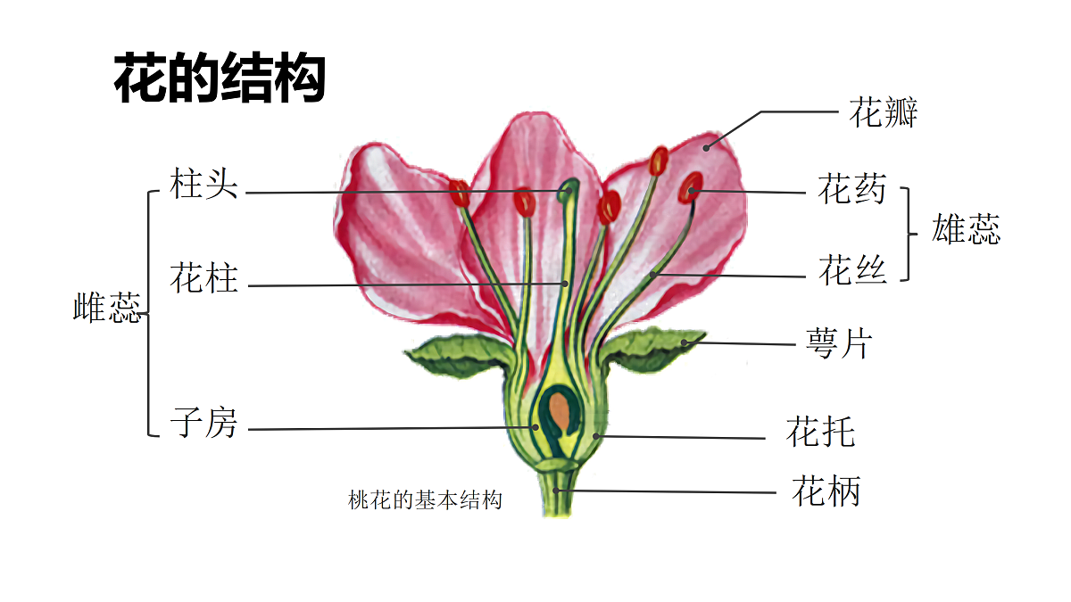 18033247第5页