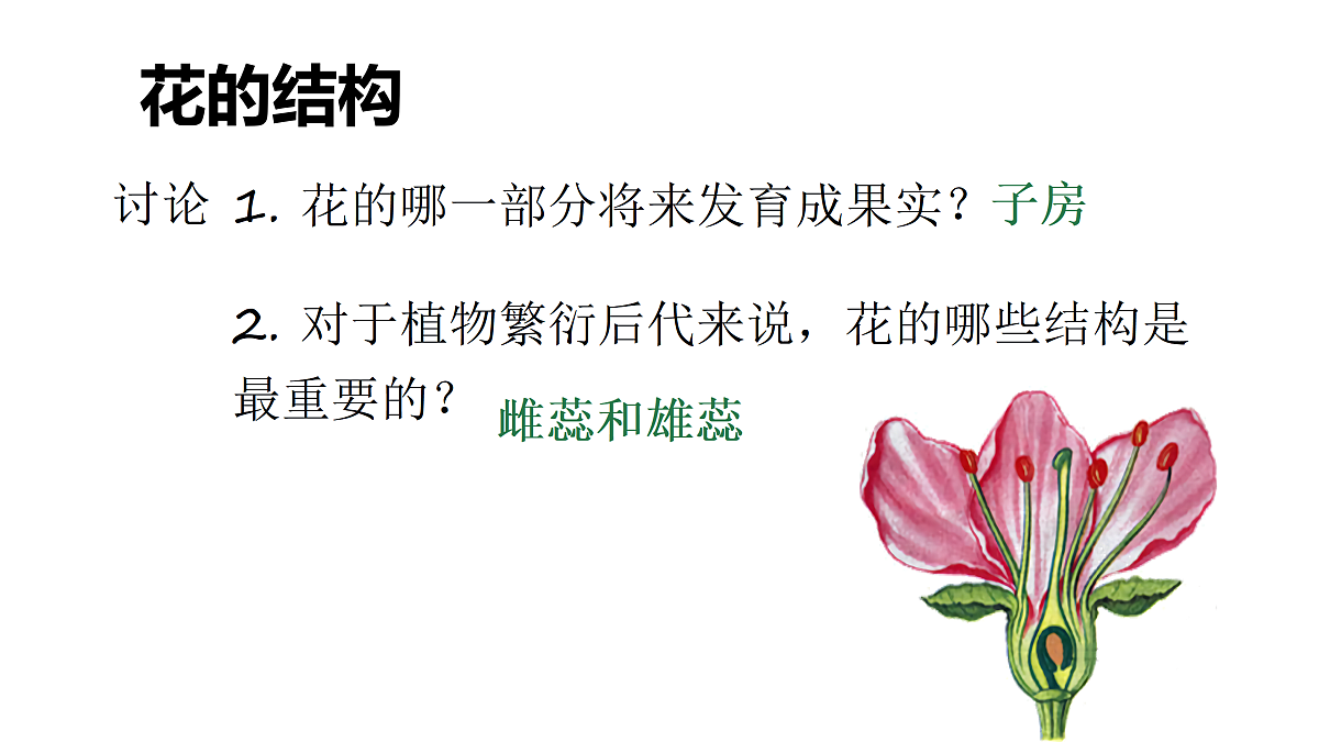 18033247第7页