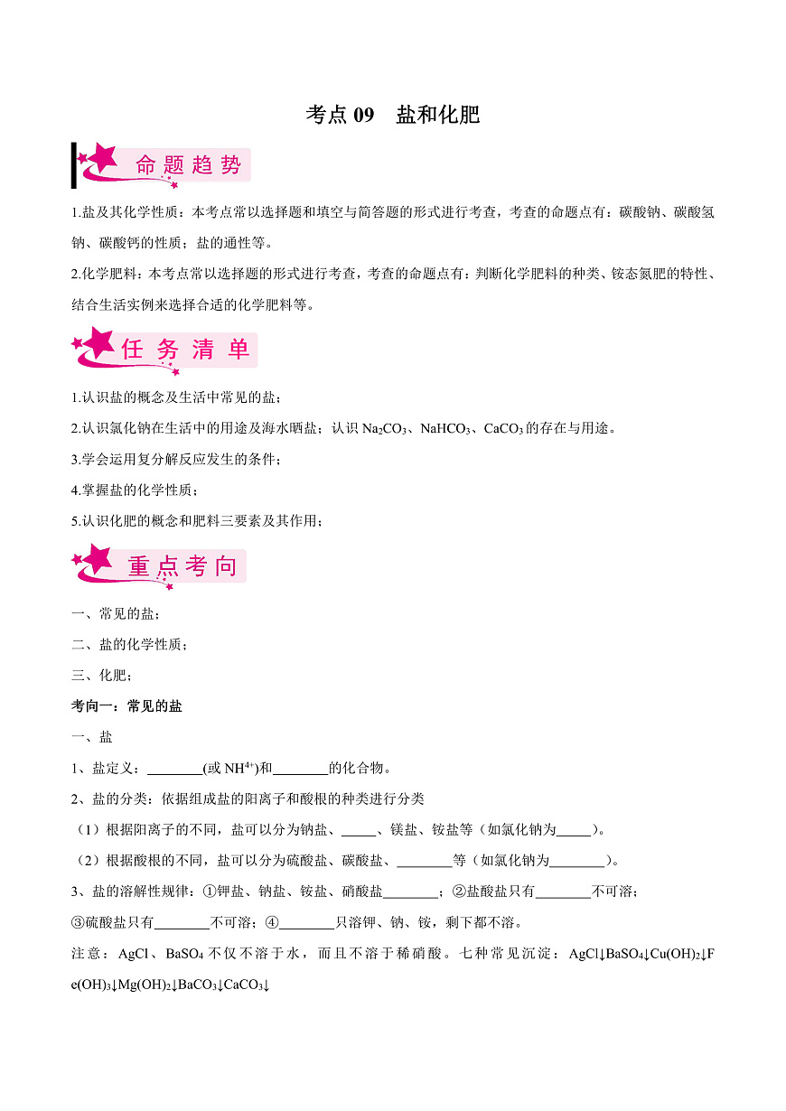 中考化学一轮复习考点练习考点09 盐和化肥（原卷版）第1页