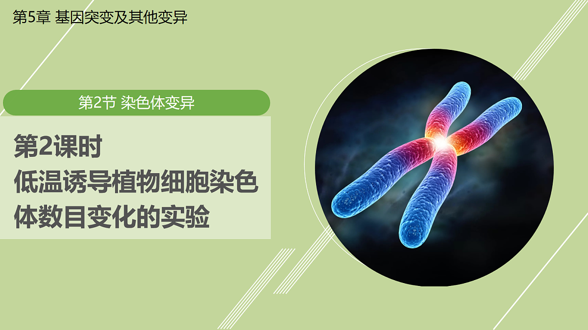 18036346第1页
