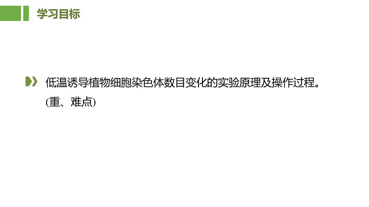 18036346第2页