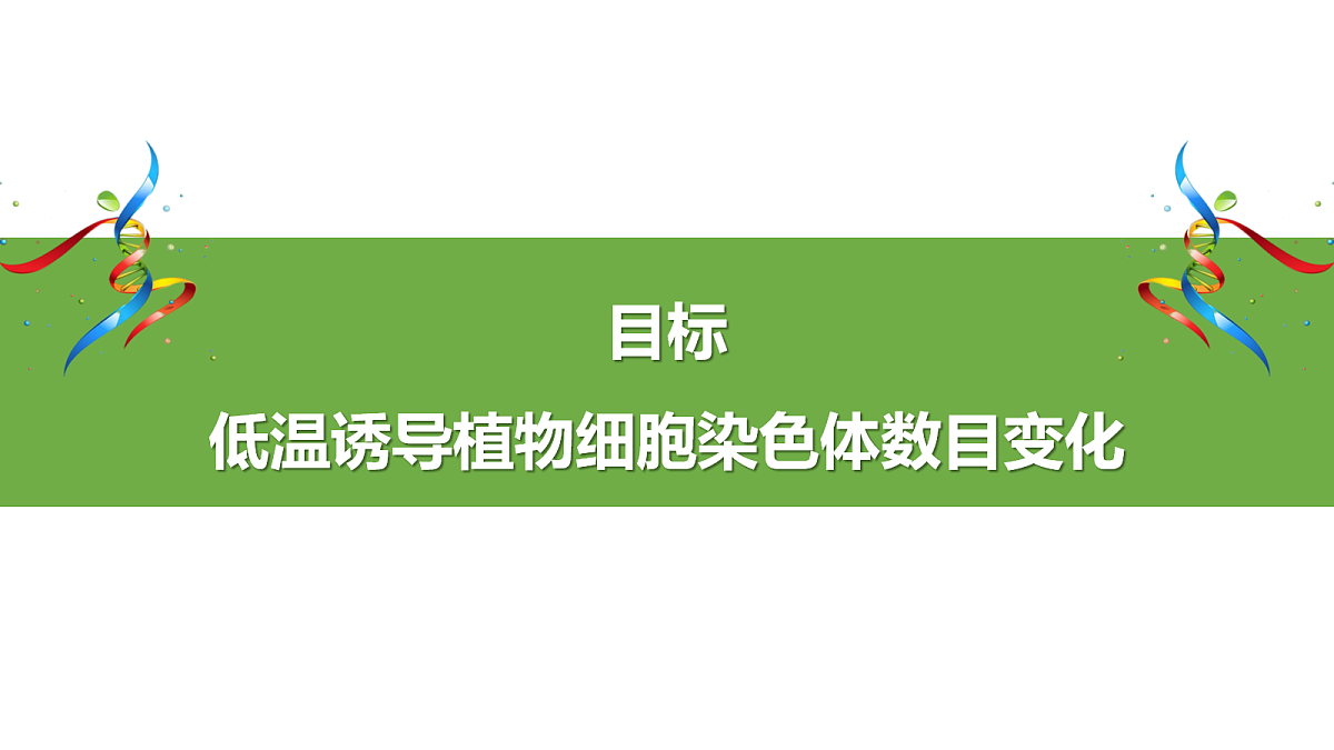 18036346第4页