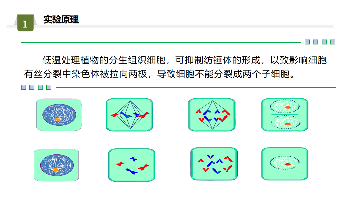 18036346第5页