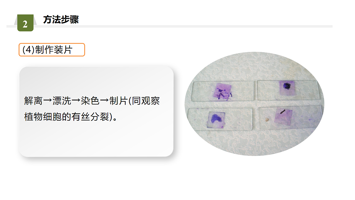 18036346第8页