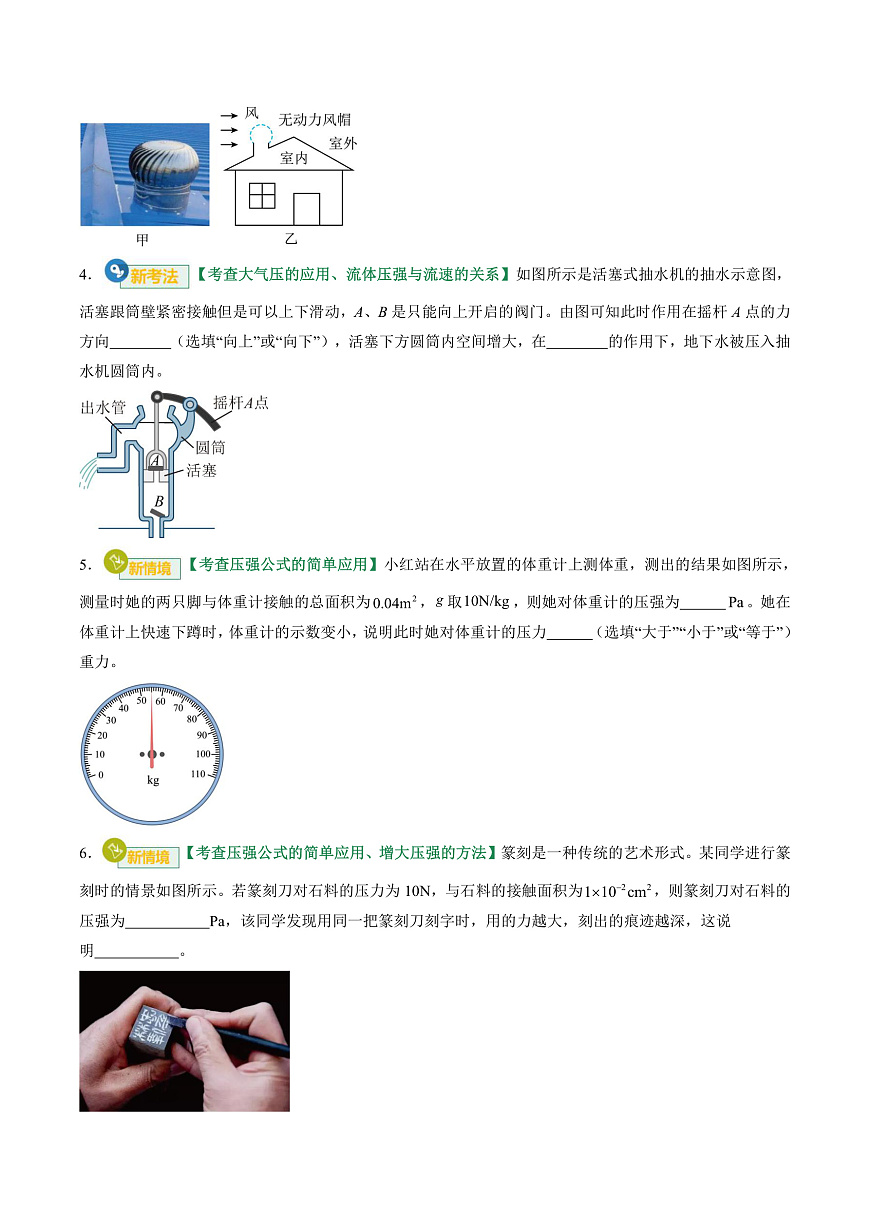 专题10 压强（专项训练）（原卷版）第3页