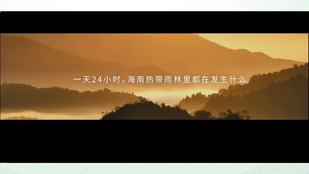 18037128第1页