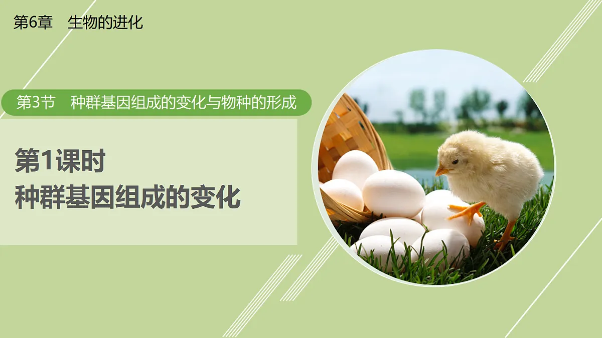 18037209第1页
