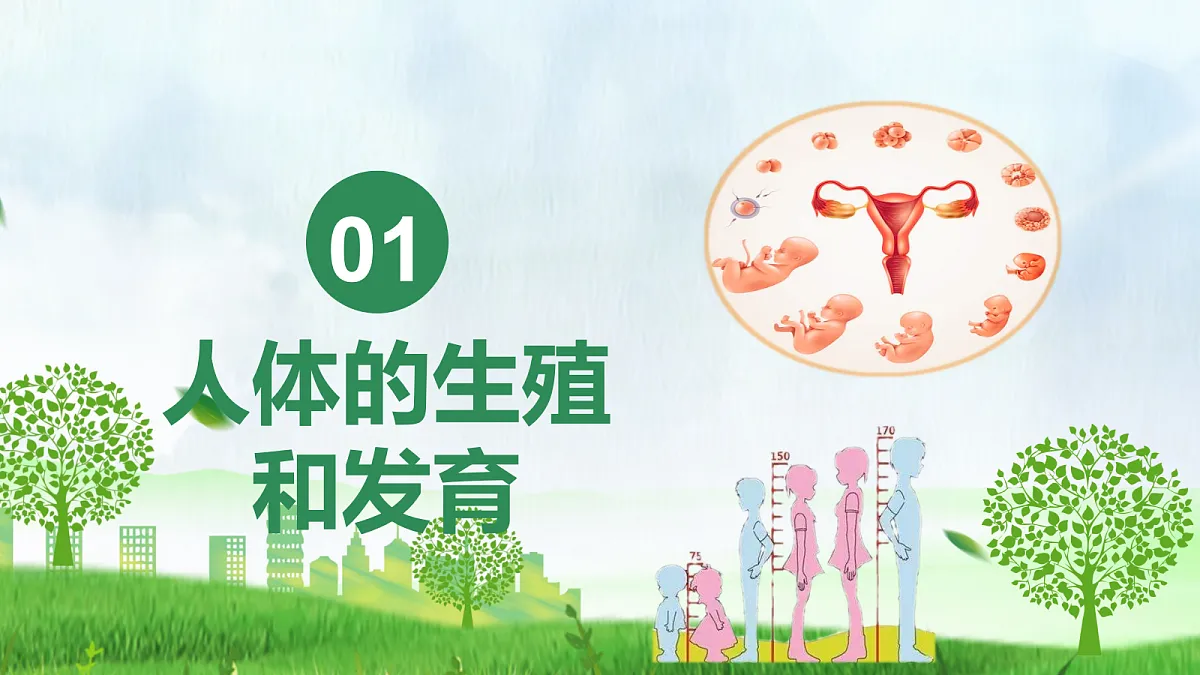 18037232第3页