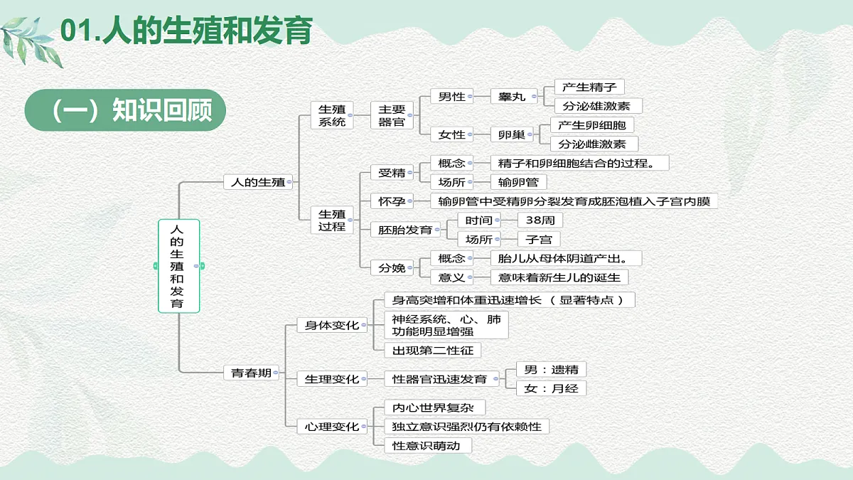 18037232第4页