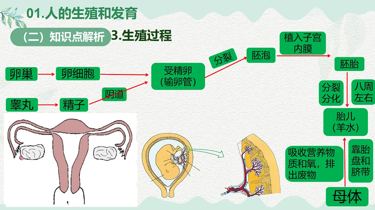 18037232第7页