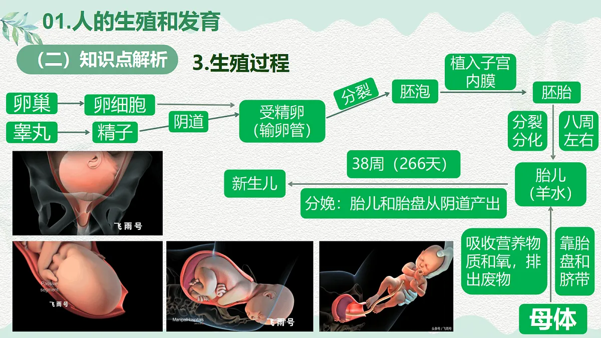 18037232第8页