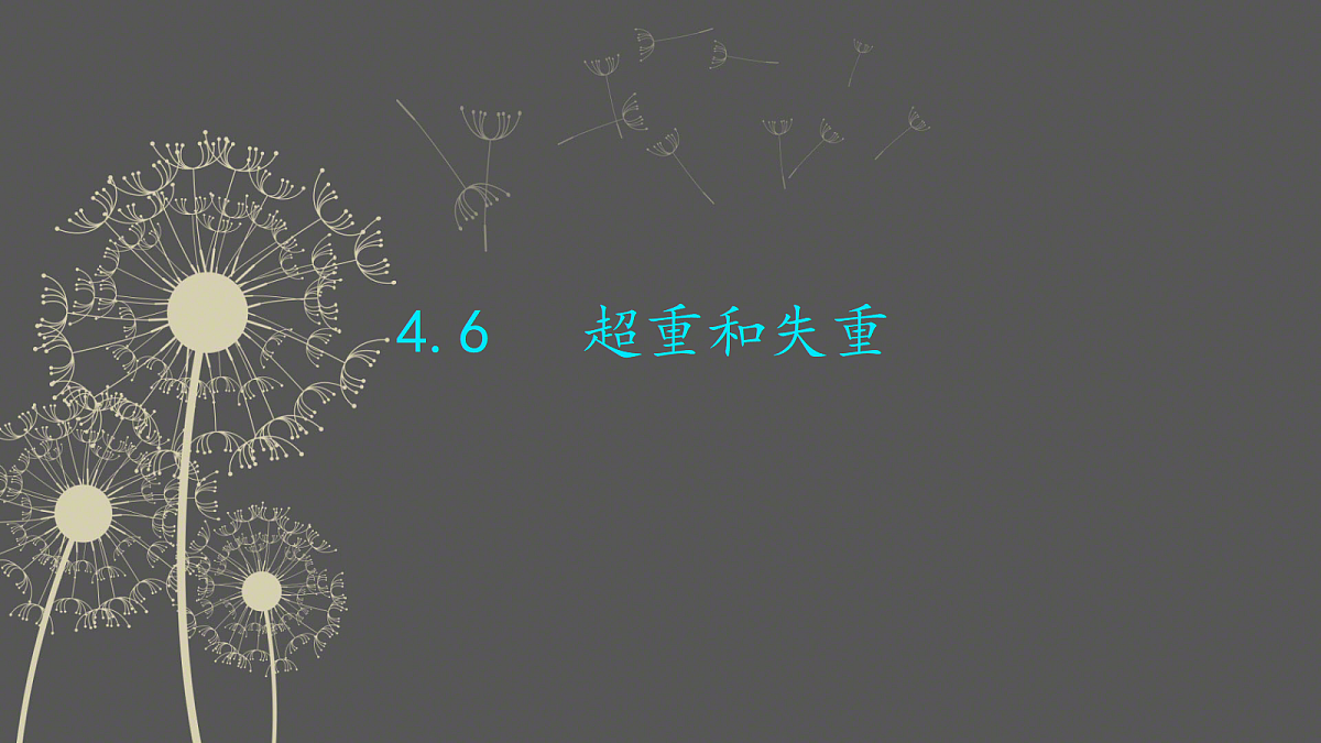 18037569第1页