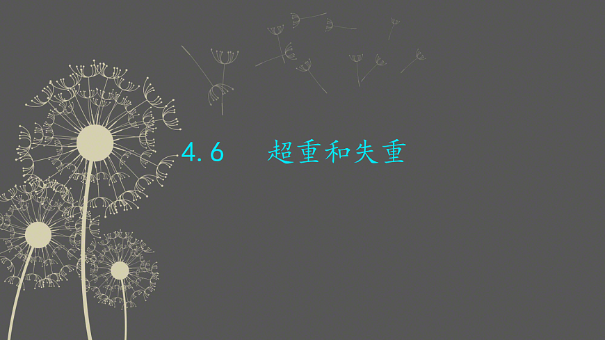 18037569第1页