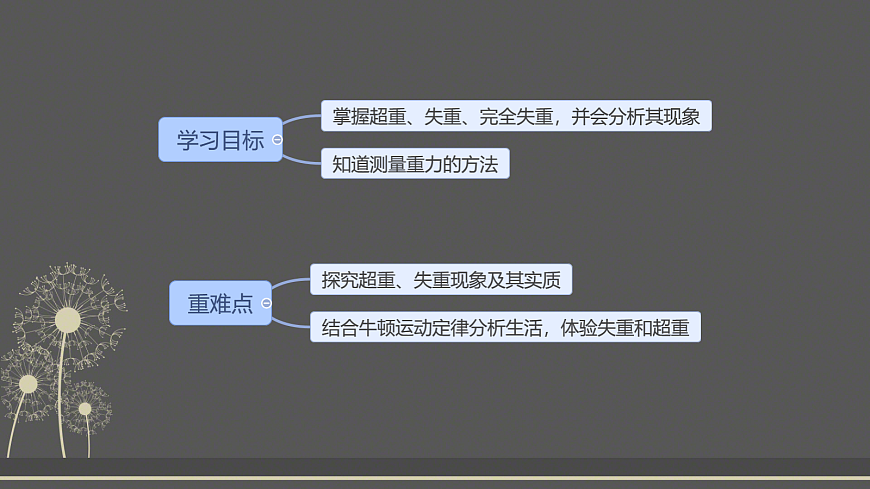 18037569第2页
