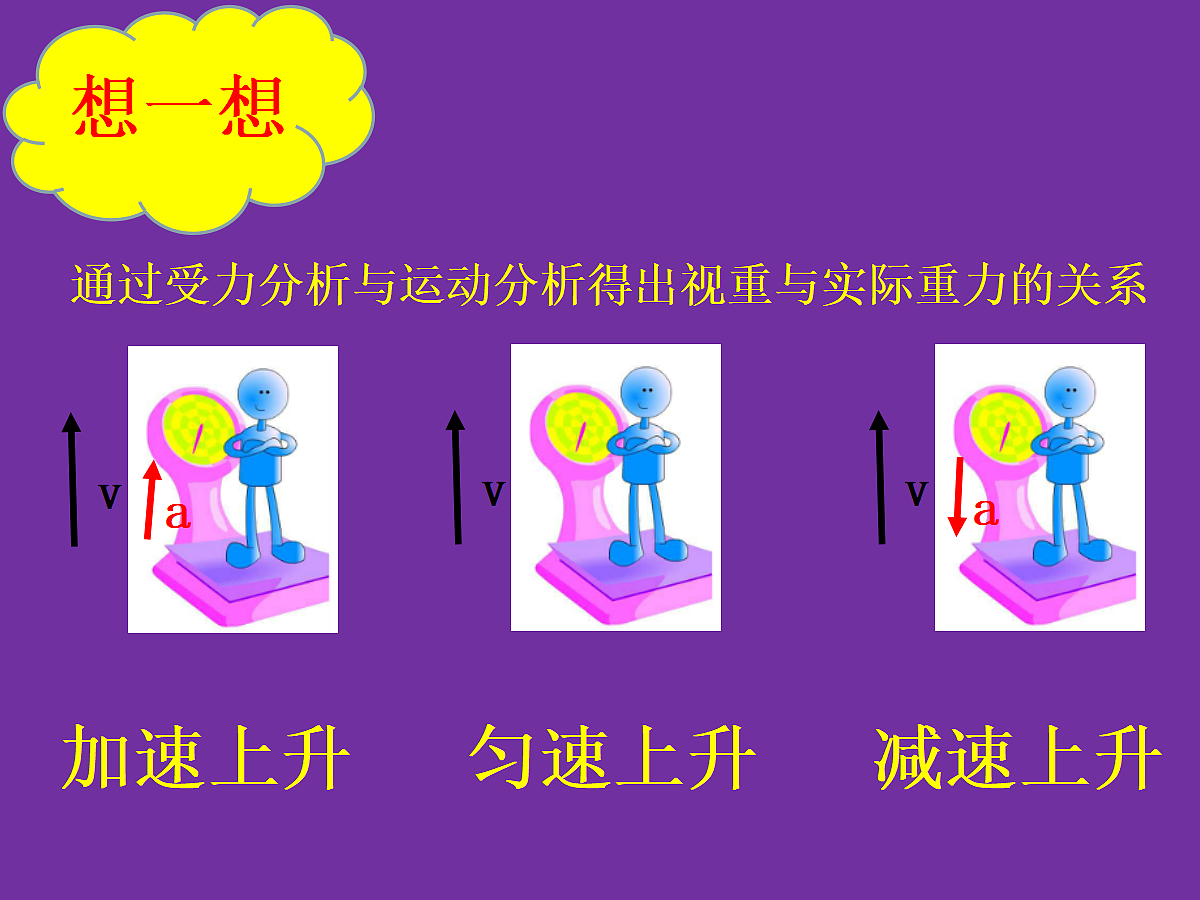 18037570第3页