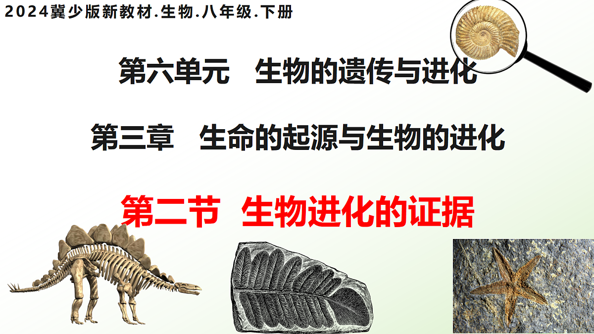 18038209第3页