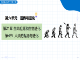 6.21.3 人类的起源与进化（教学课件）-2025-2026学年八年级生物下册（苏教版2024）