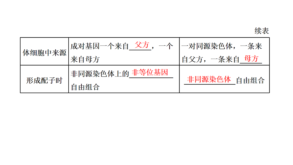 18039606第3页