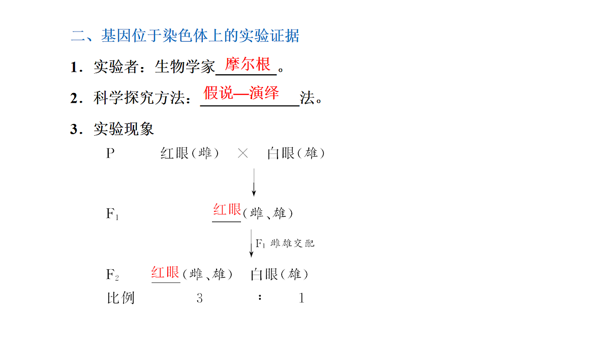 18039606第4页