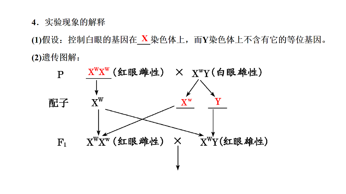 18039606第5页