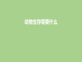 11 动物生存需要什么-课件 2025-2026学年苏教版二年级科学下册
