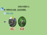 11 动物生存需要什么-课件 2025-2026学年苏教版二年级科学下册