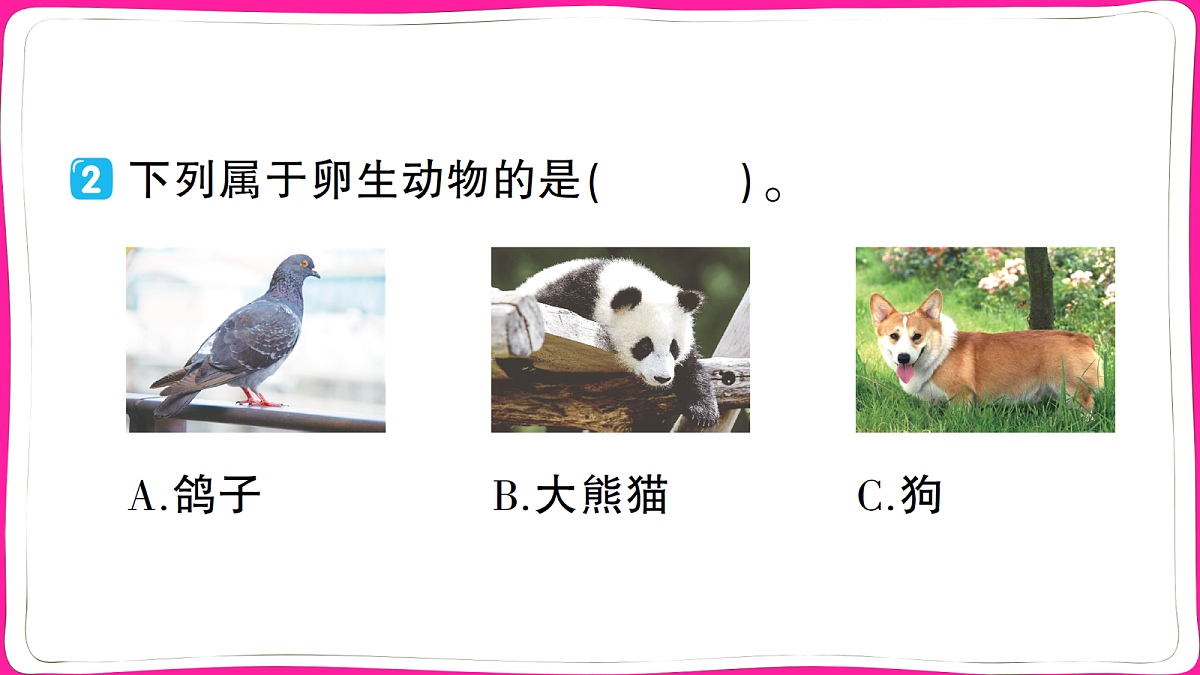 18040326第4页