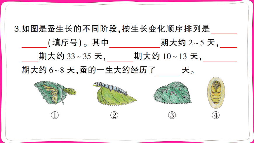 18040331第3页
