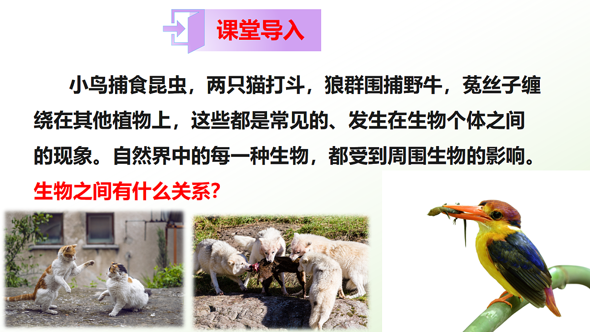 18040848第2页